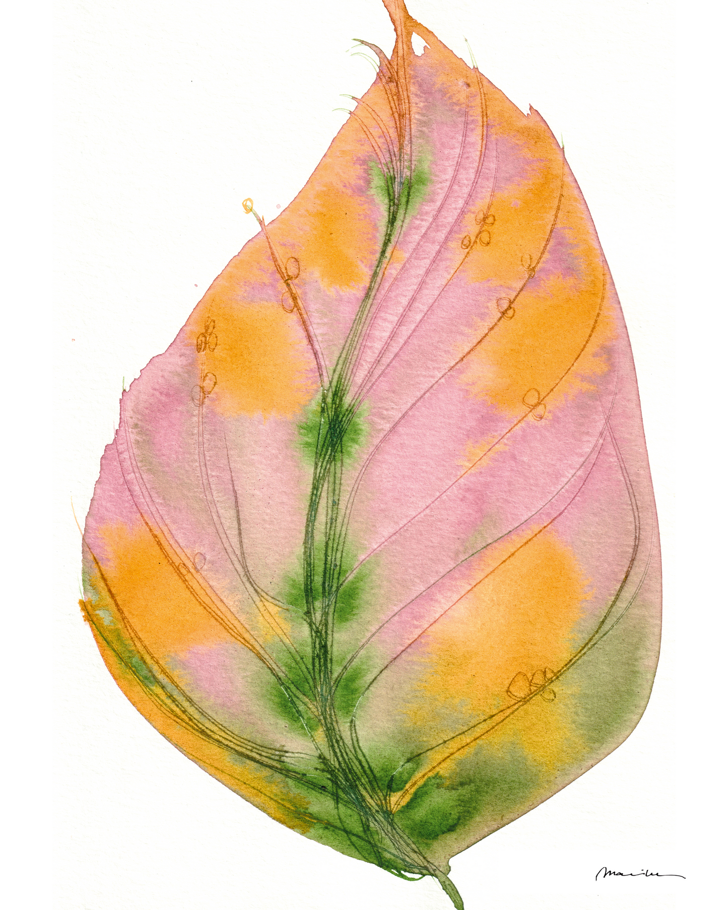 Artistic depiction of a leaf with pink, orange, and green colors on a white background