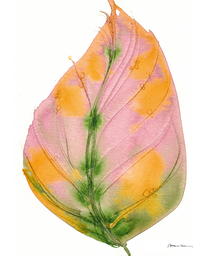 Artistic depiction of a leaf with pink, orange, and green colors on a white background