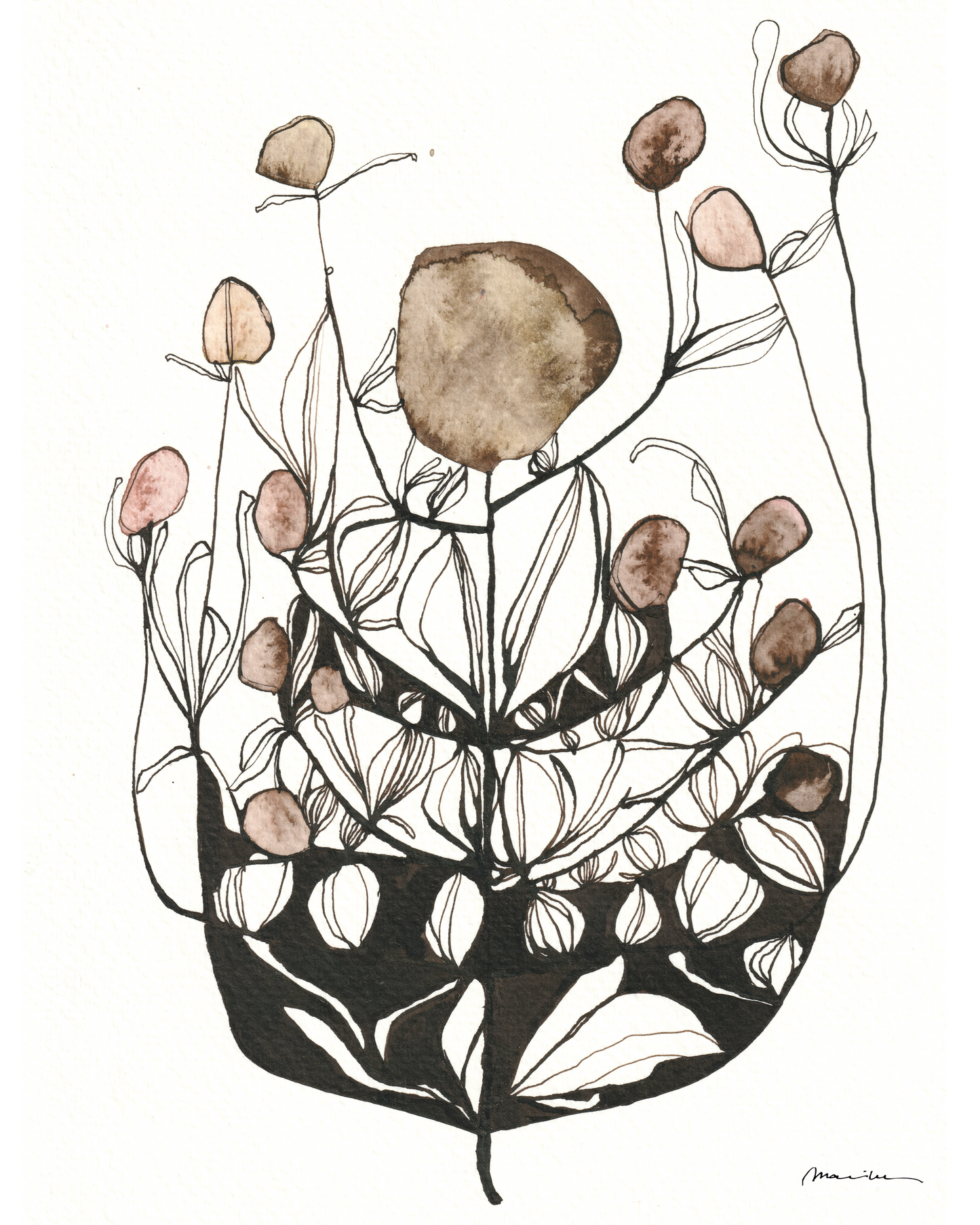 Artistic illustration of a plant with brown and pink floral elements on a white background
