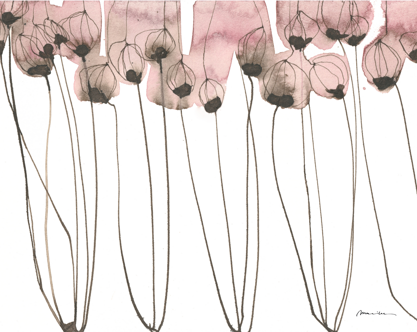 Artistic depiction of pink flowers with long stems on a white background