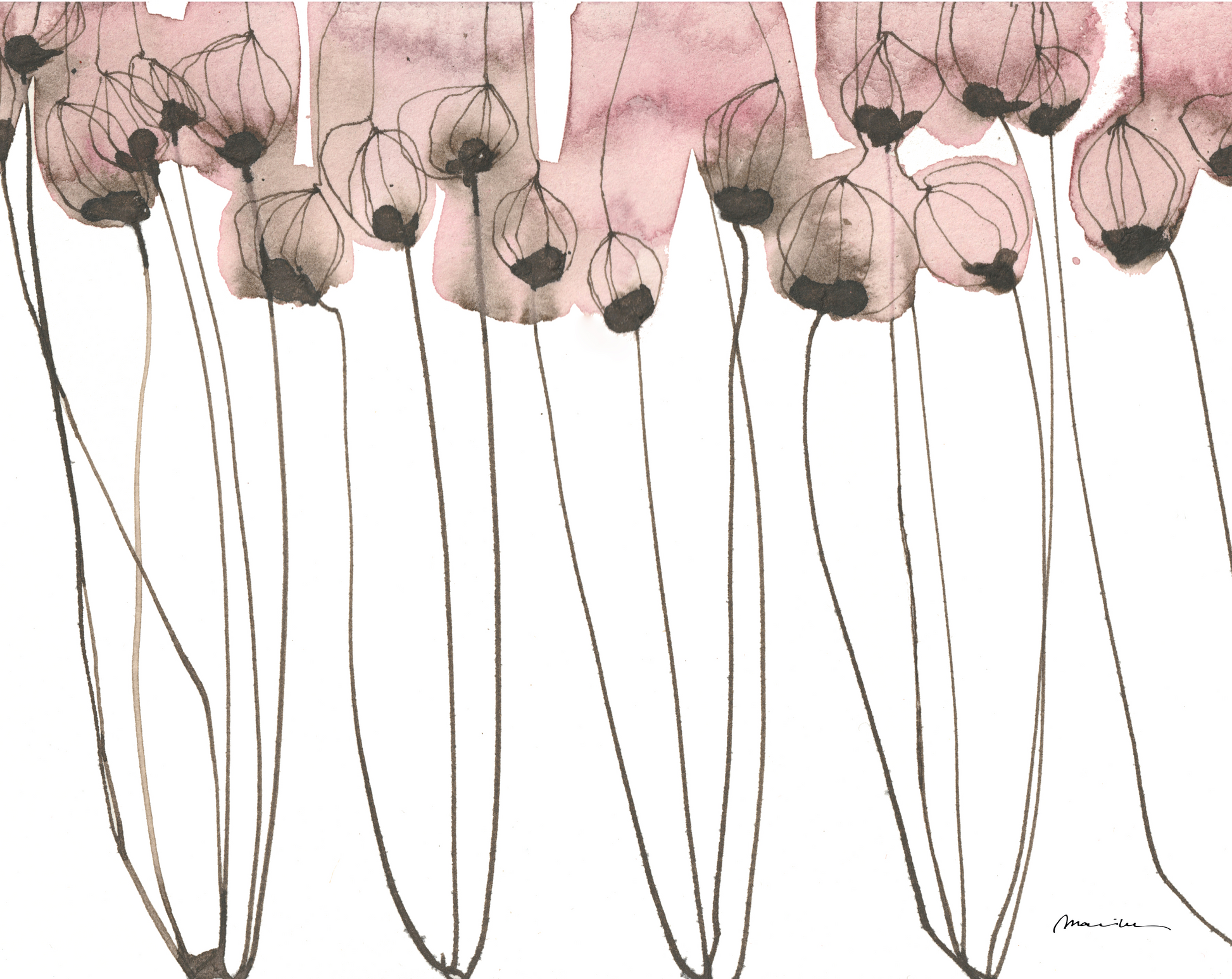 Artistic depiction of pink flowers with long stems on a white background