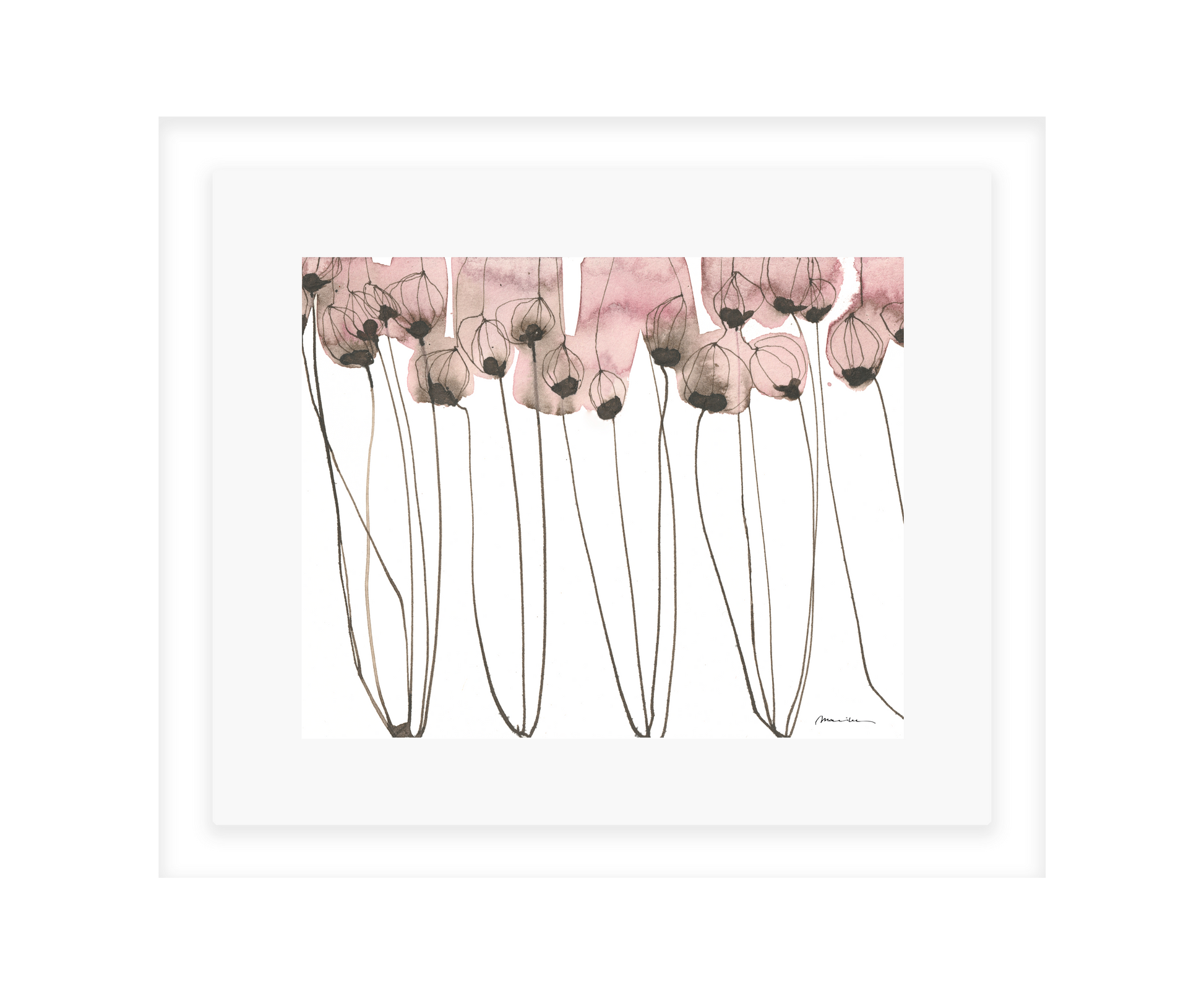 Artistic depiction of pink flowers with long stems on a white background in a white frame