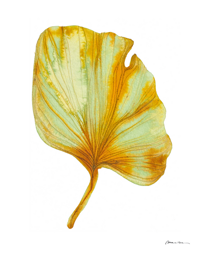 Artistic depiction of a yellow and green leaf on a white background