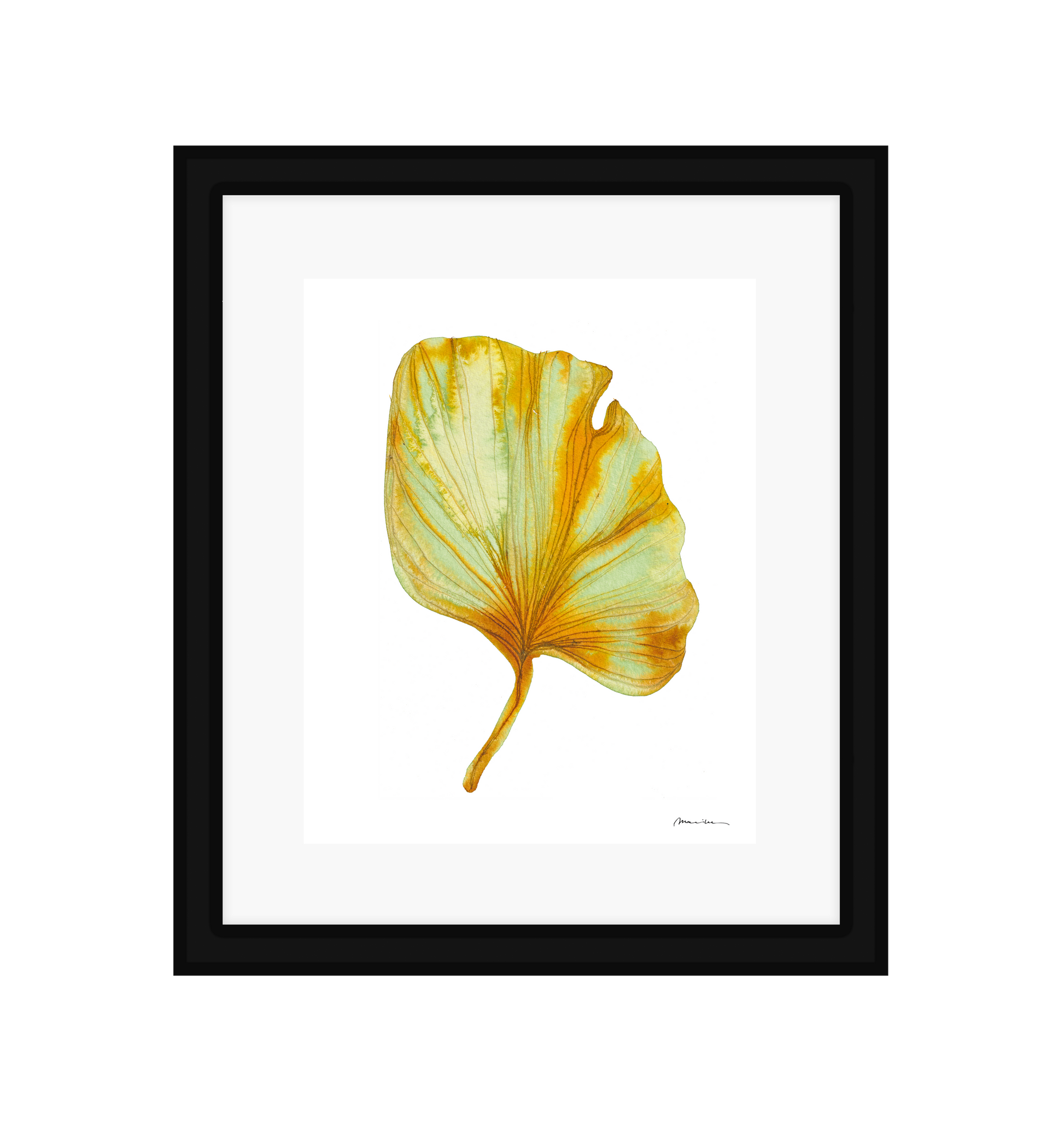 Artistic depiction of a yellow and green leaf on a white background in a black frame
