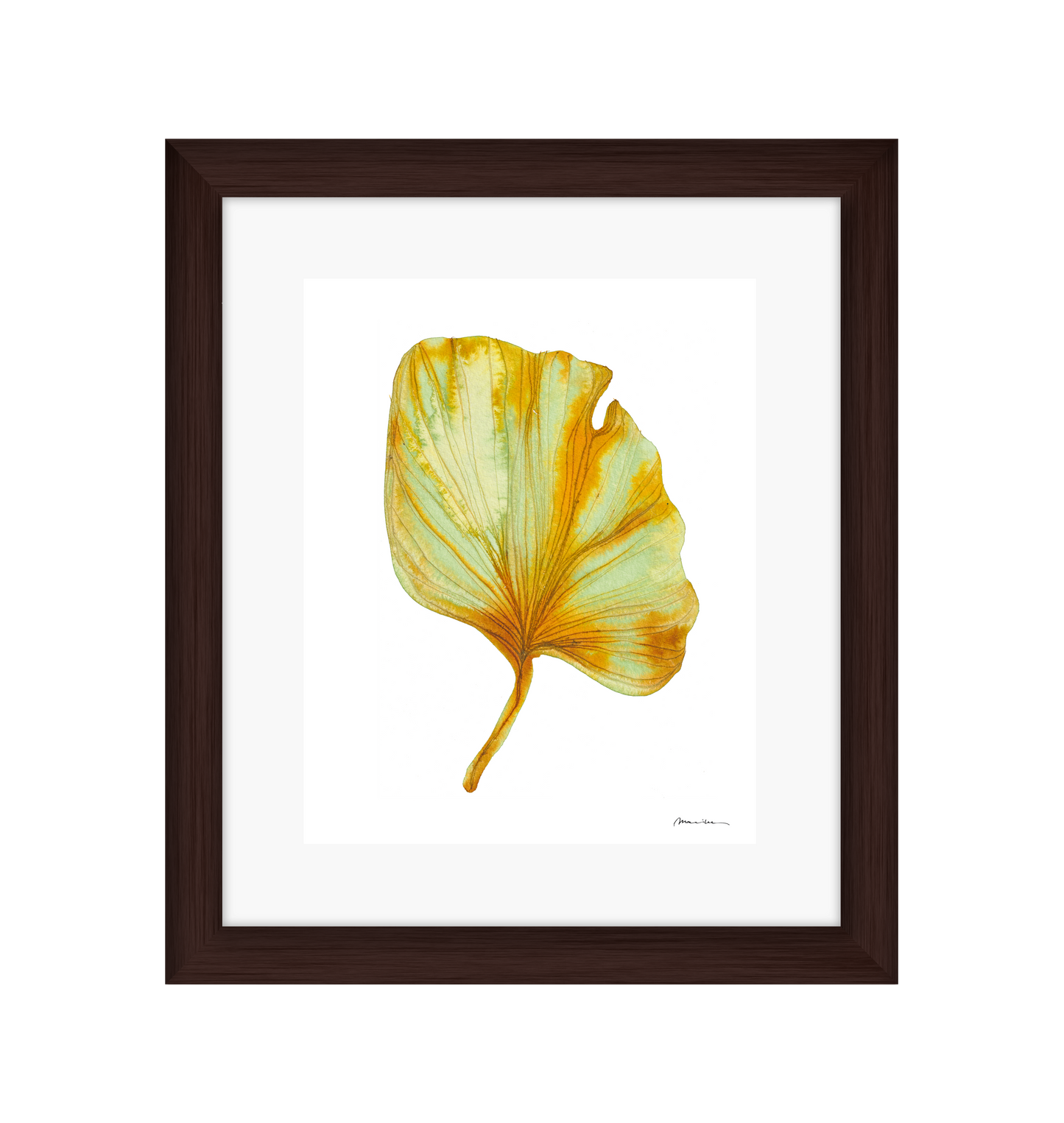 Artistic depiction of a yellow and green leaf on a white background in a brown frame
