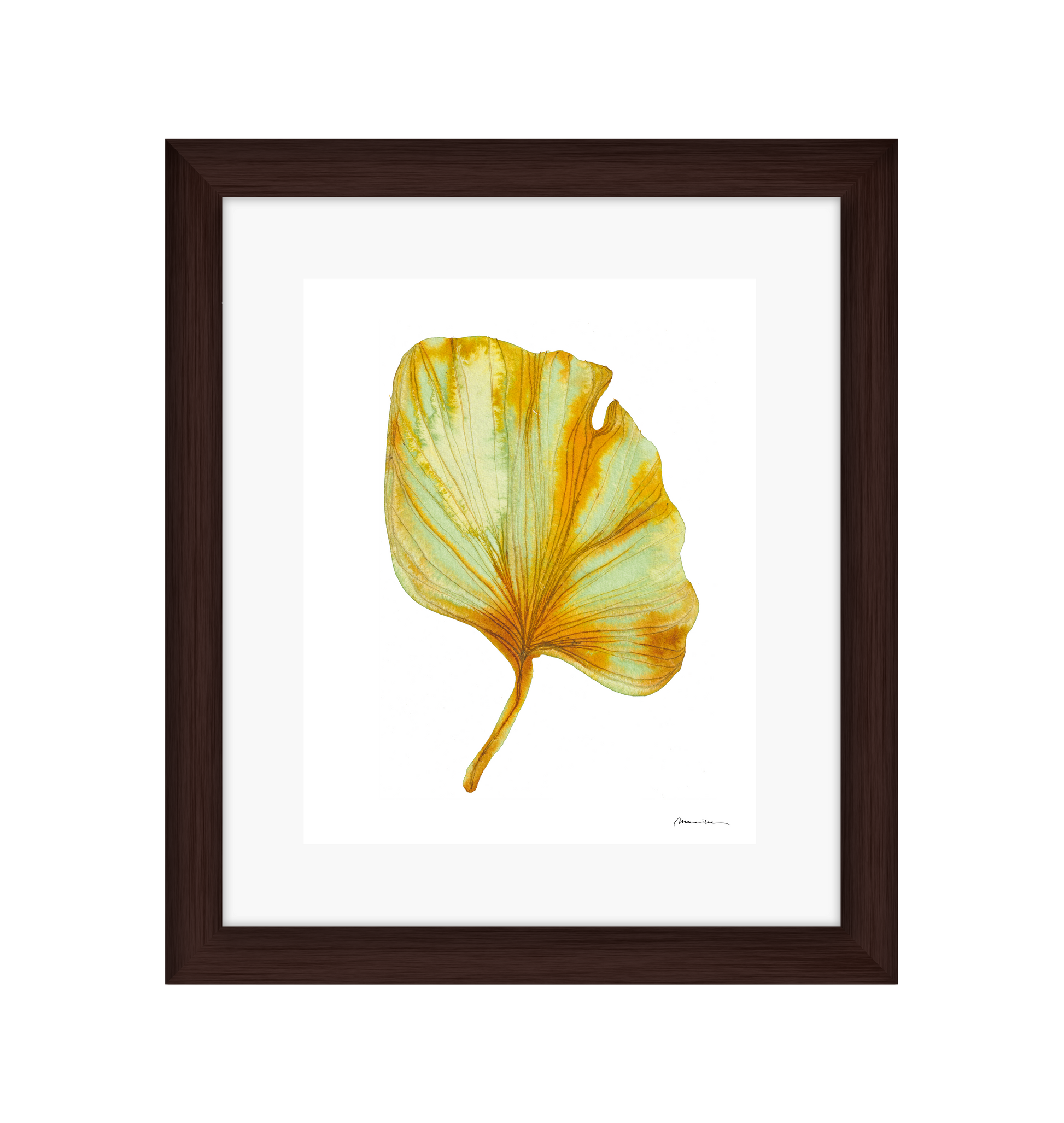 Artistic depiction of a yellow and green leaf on a white background in a brown frame