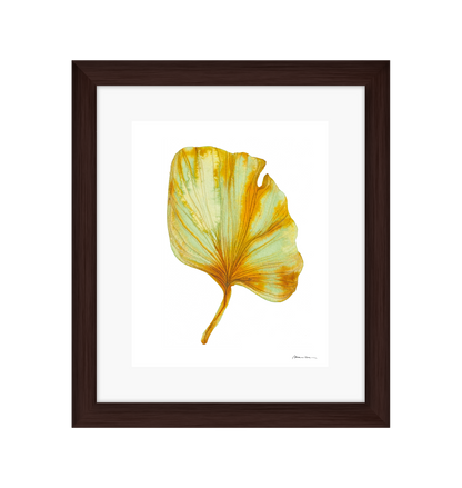 Artistic depiction of a yellow and green leaf on a white background in a brown frame