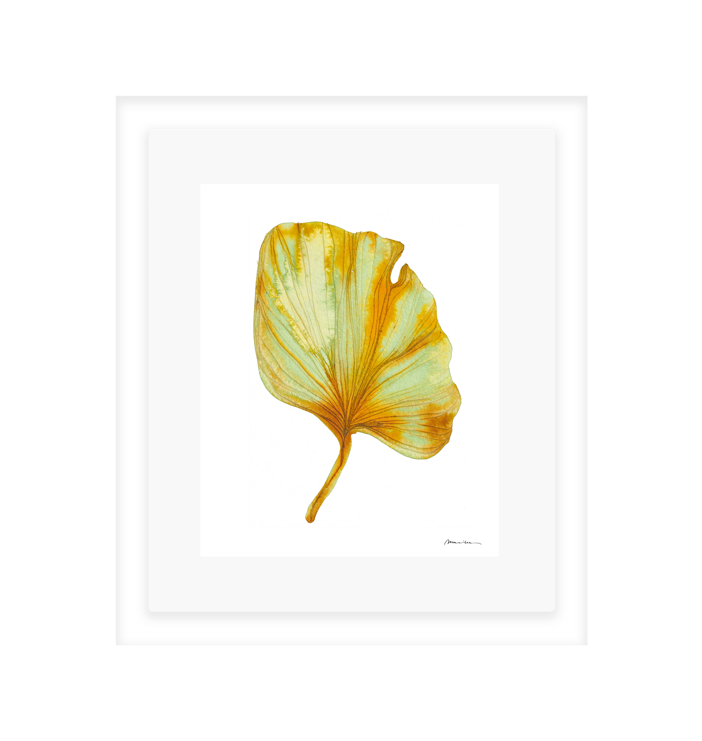Artistic depiction of a yellow and green leaf on a white background in a white frame