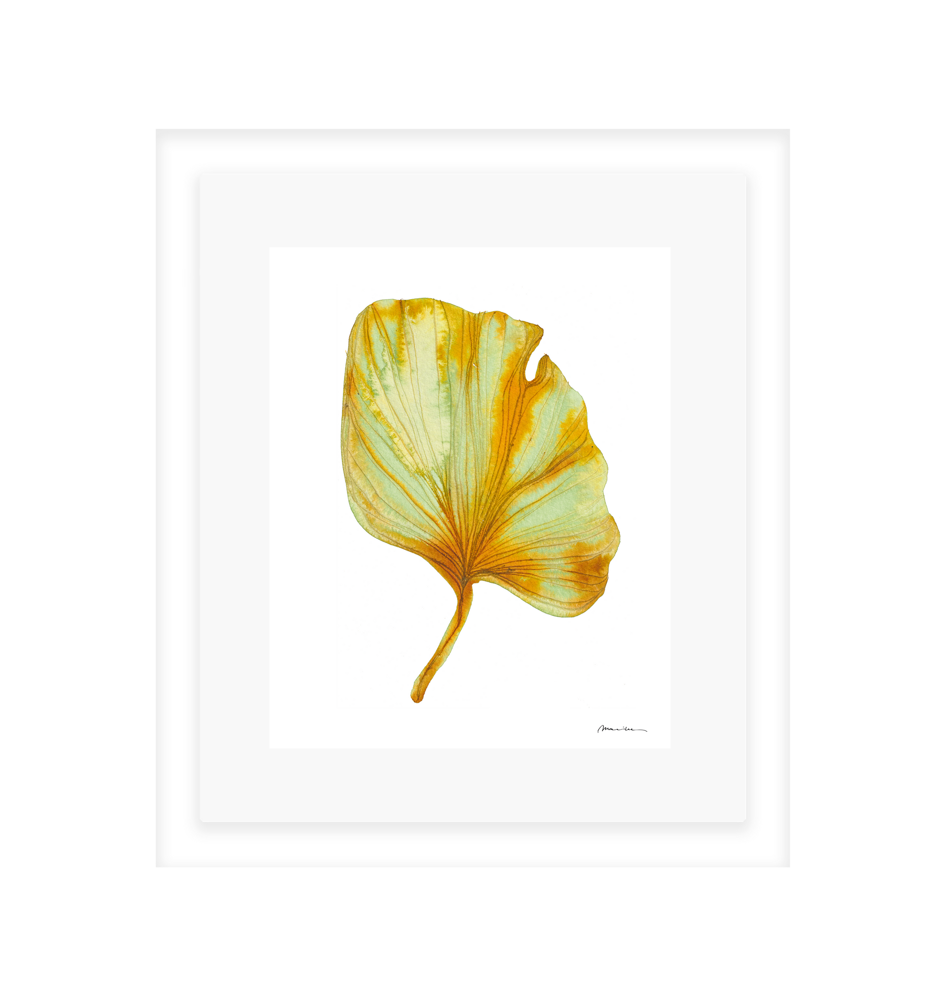Artistic depiction of a yellow and green leaf on a white background in a white frame