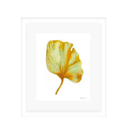 Artistic depiction of a yellow and green leaf on a white background in a white frame