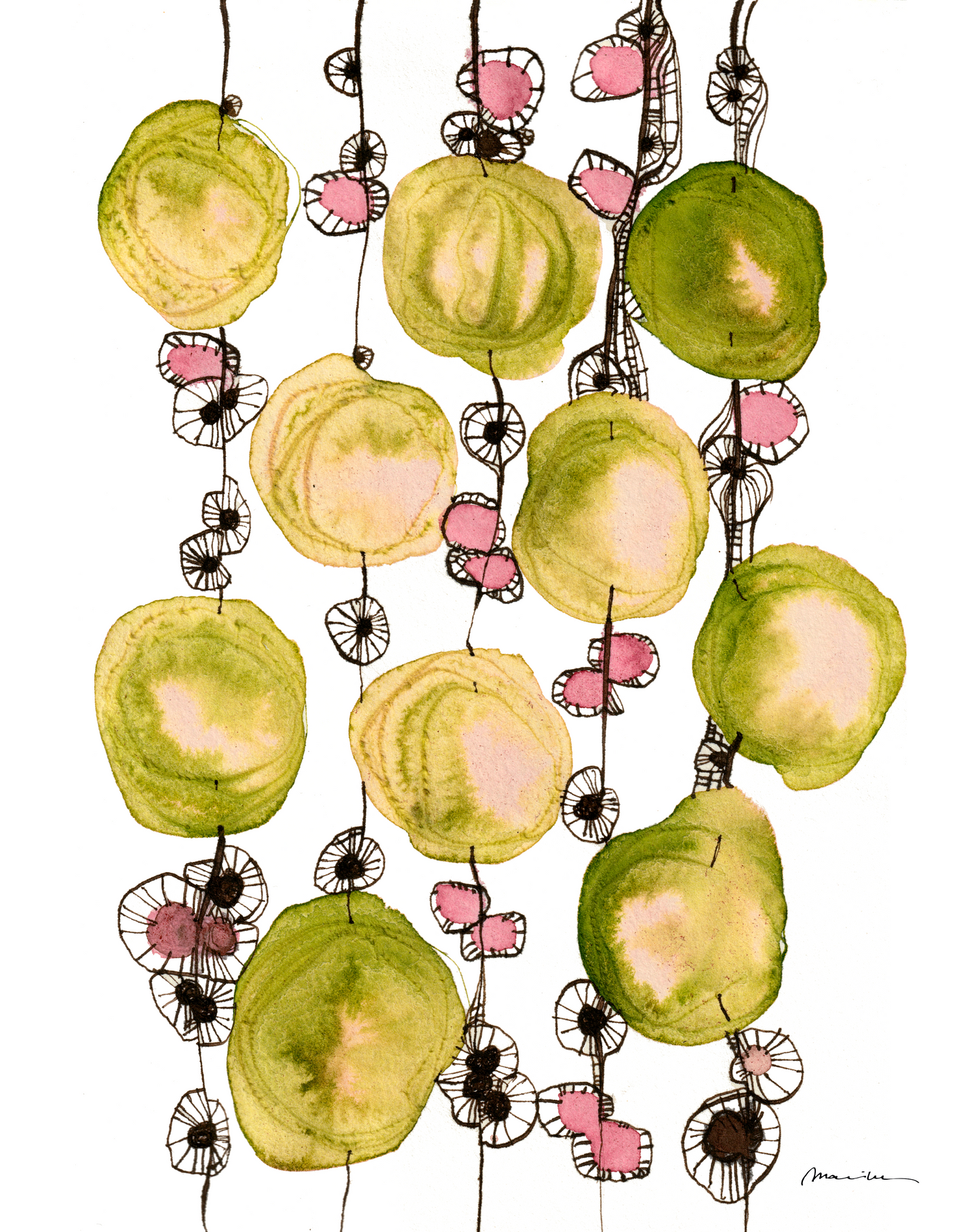 Artistic depiction of green and pink circular shapes with floral elements on a white background