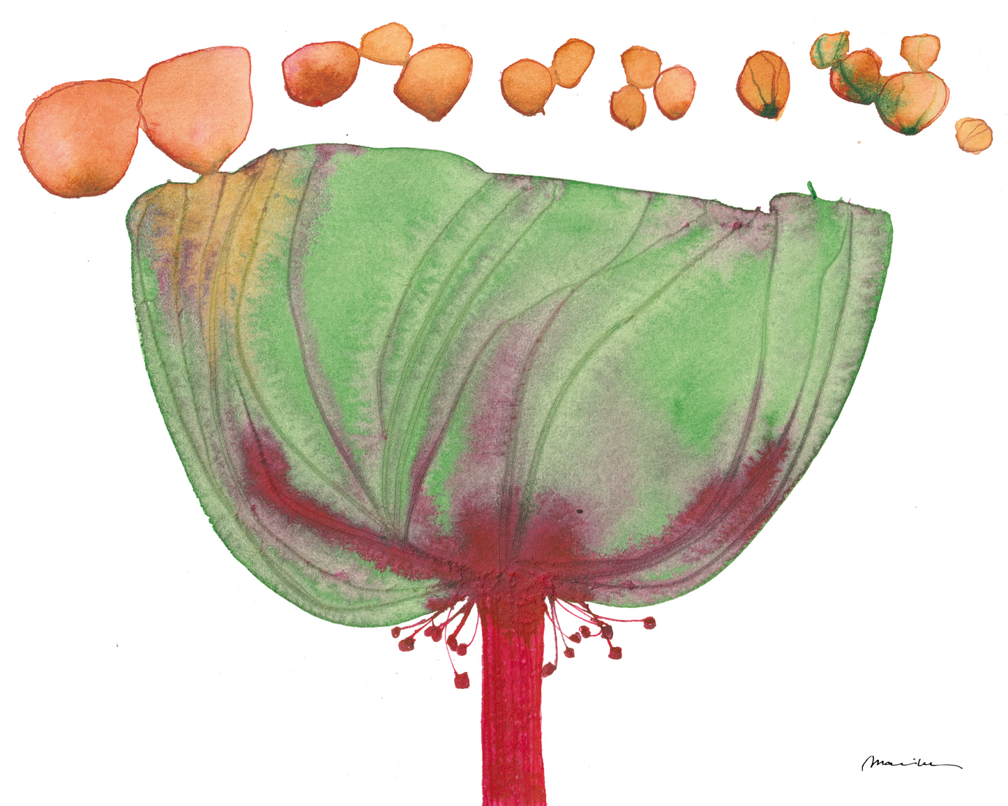 Artistic depiction of a large green leaf with red center and smaller orange leaves above on a white background.