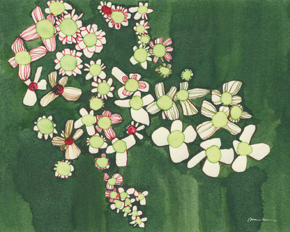 Madeliefjes in Groen