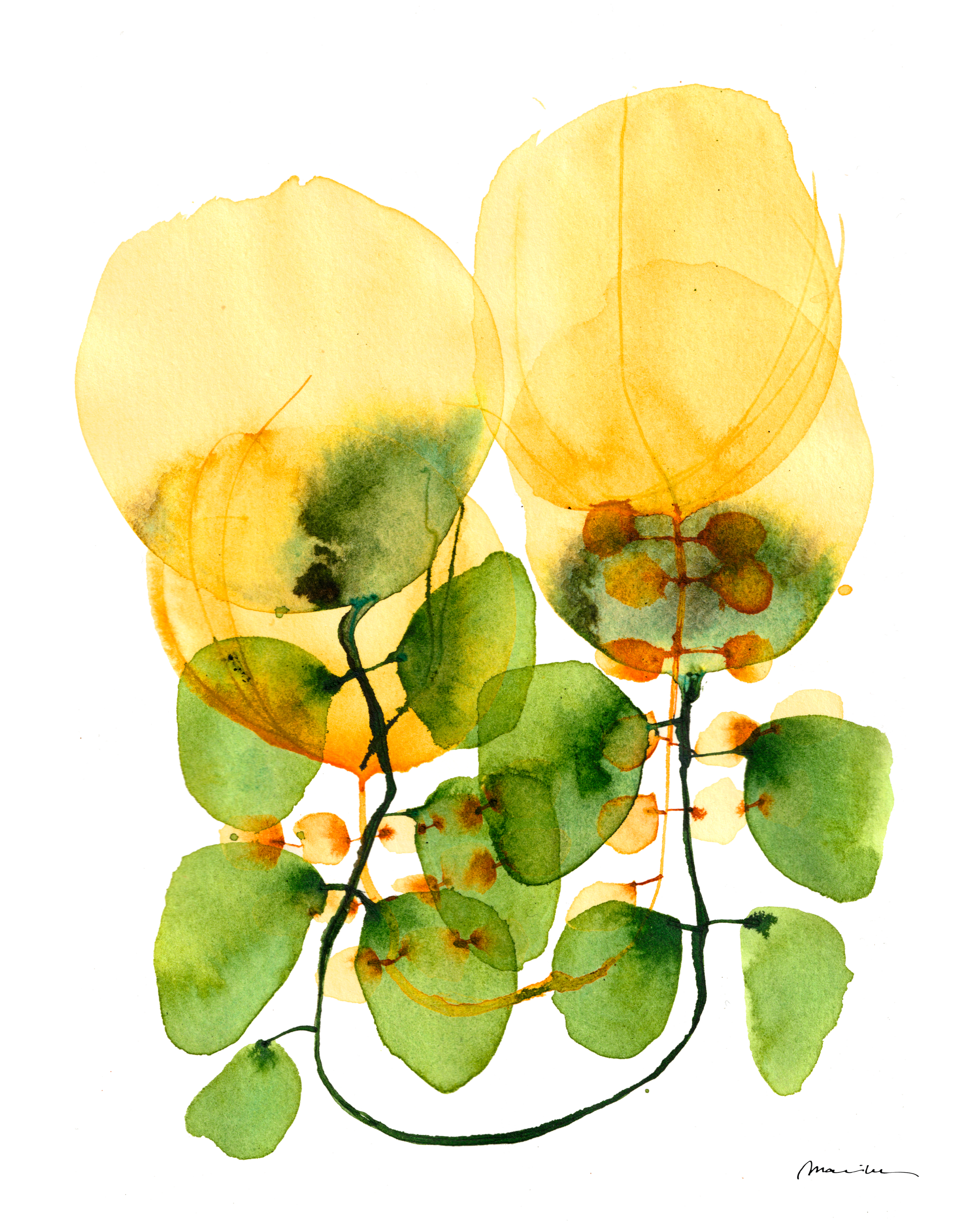 Yellow and green leaves on a white background