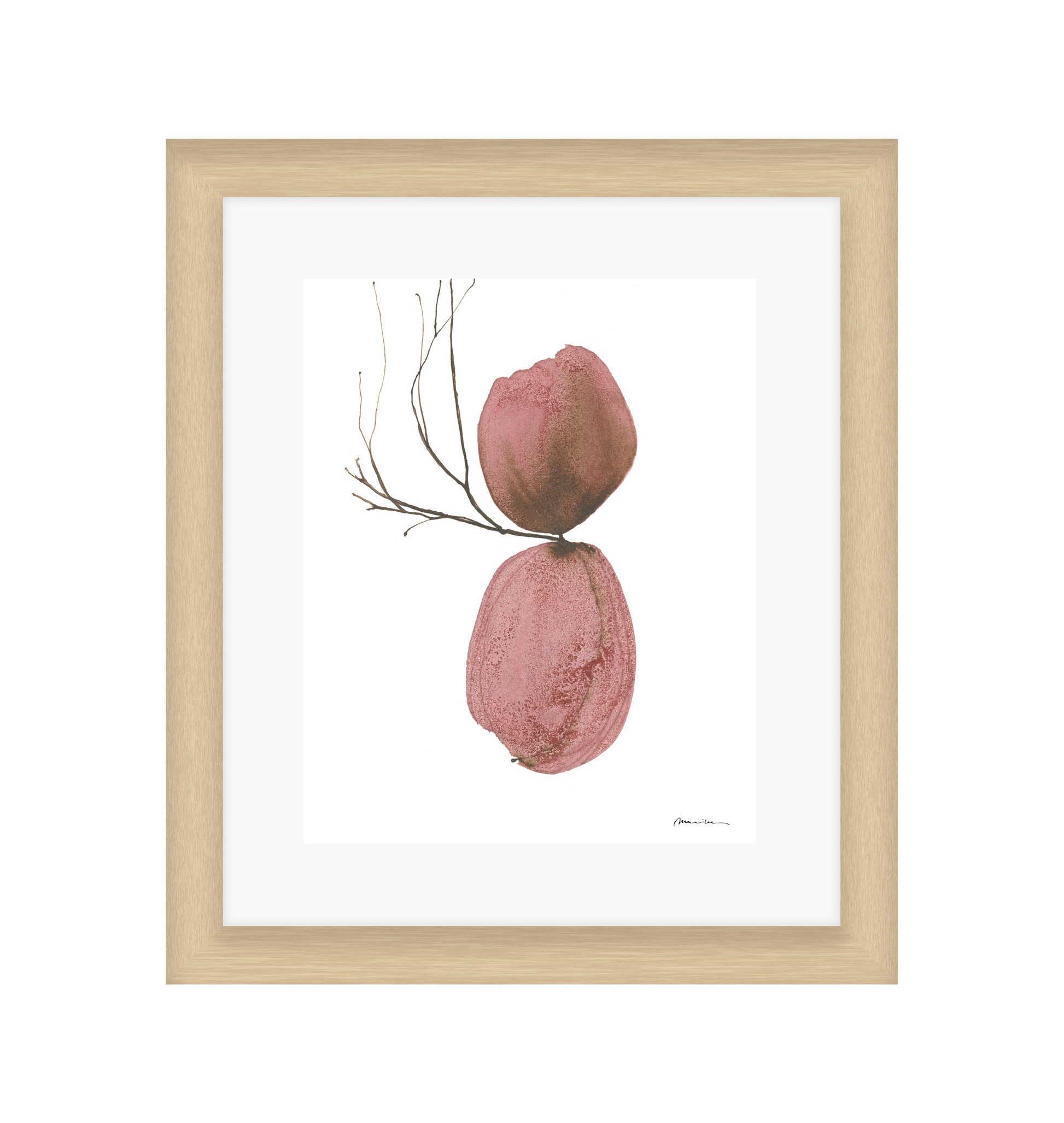 Framed artwork of two pink textured objects with a branch on a white background