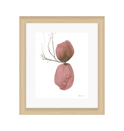 Framed artwork of two pink textured objects with a branch on a white background