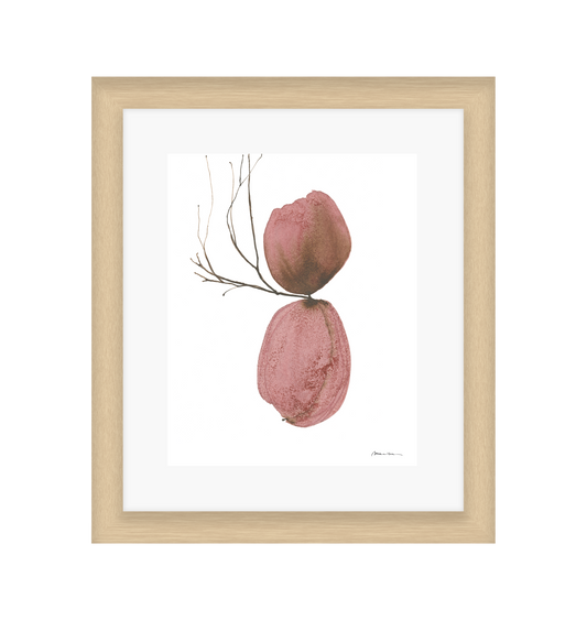 Framed artwork of two pink textured objects with a branch on a white background