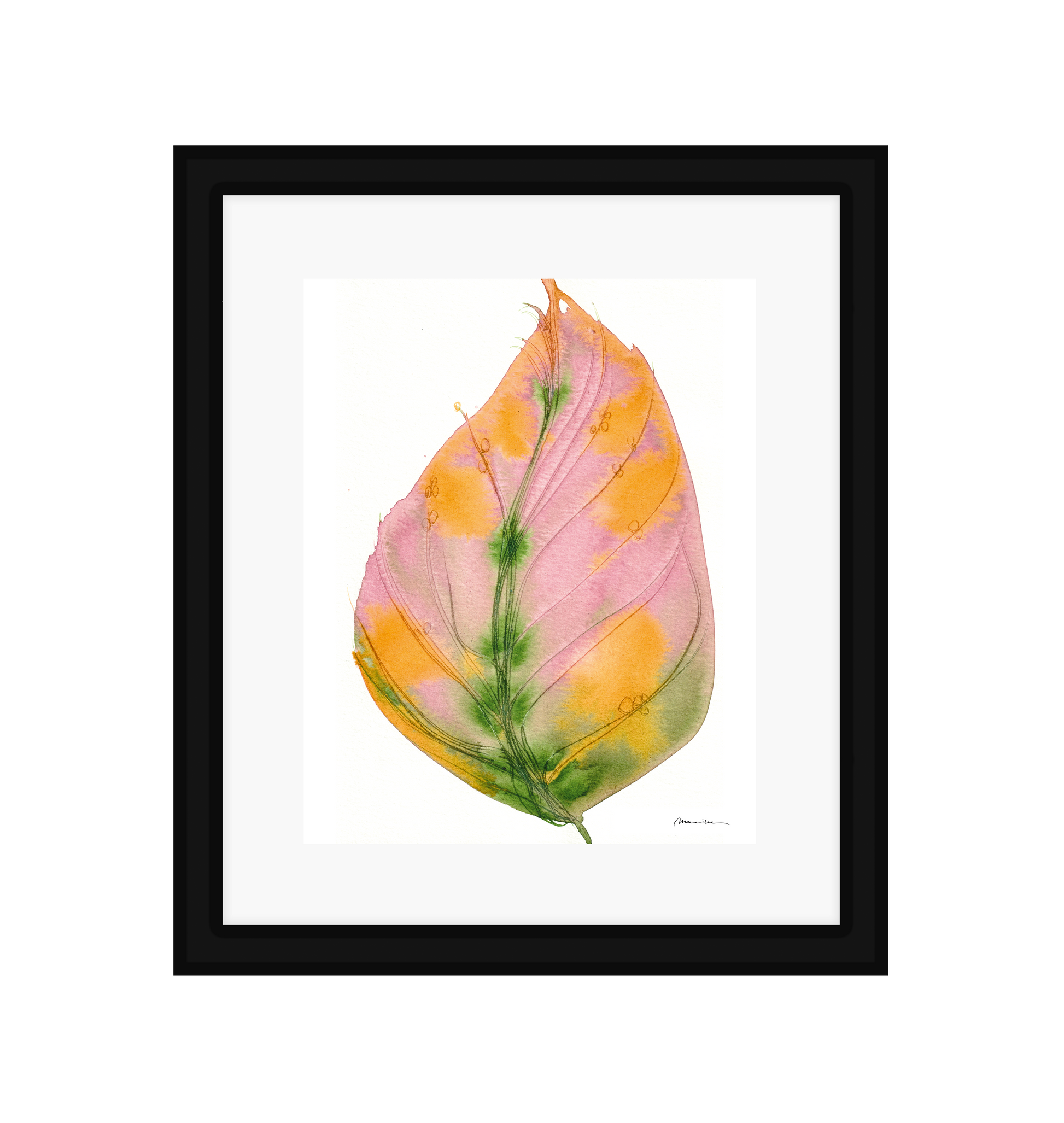 Framed artwork of a pink and yellow leaf with green veins on a white background