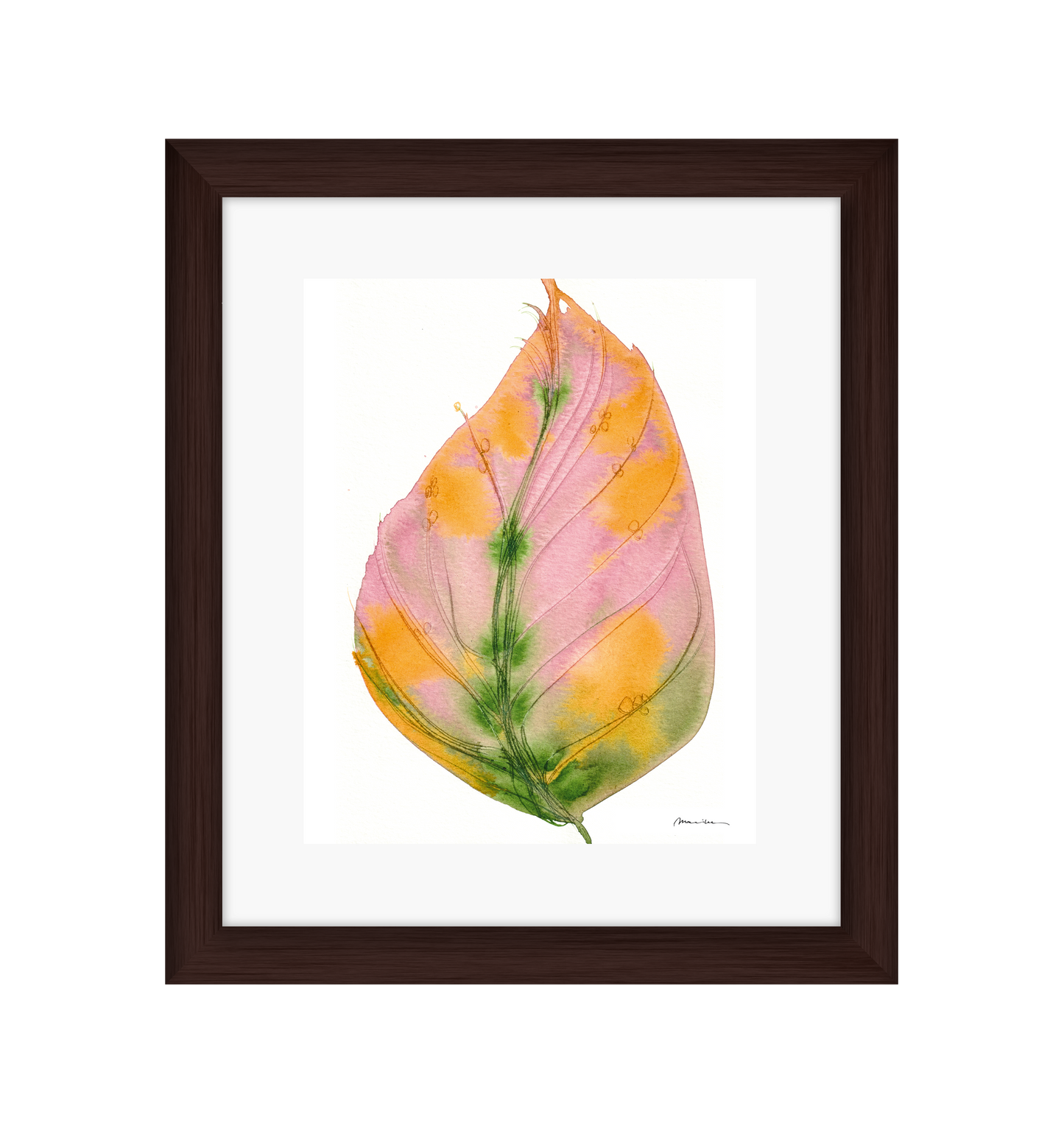 Framed artwork of a colorful leaf on a white background