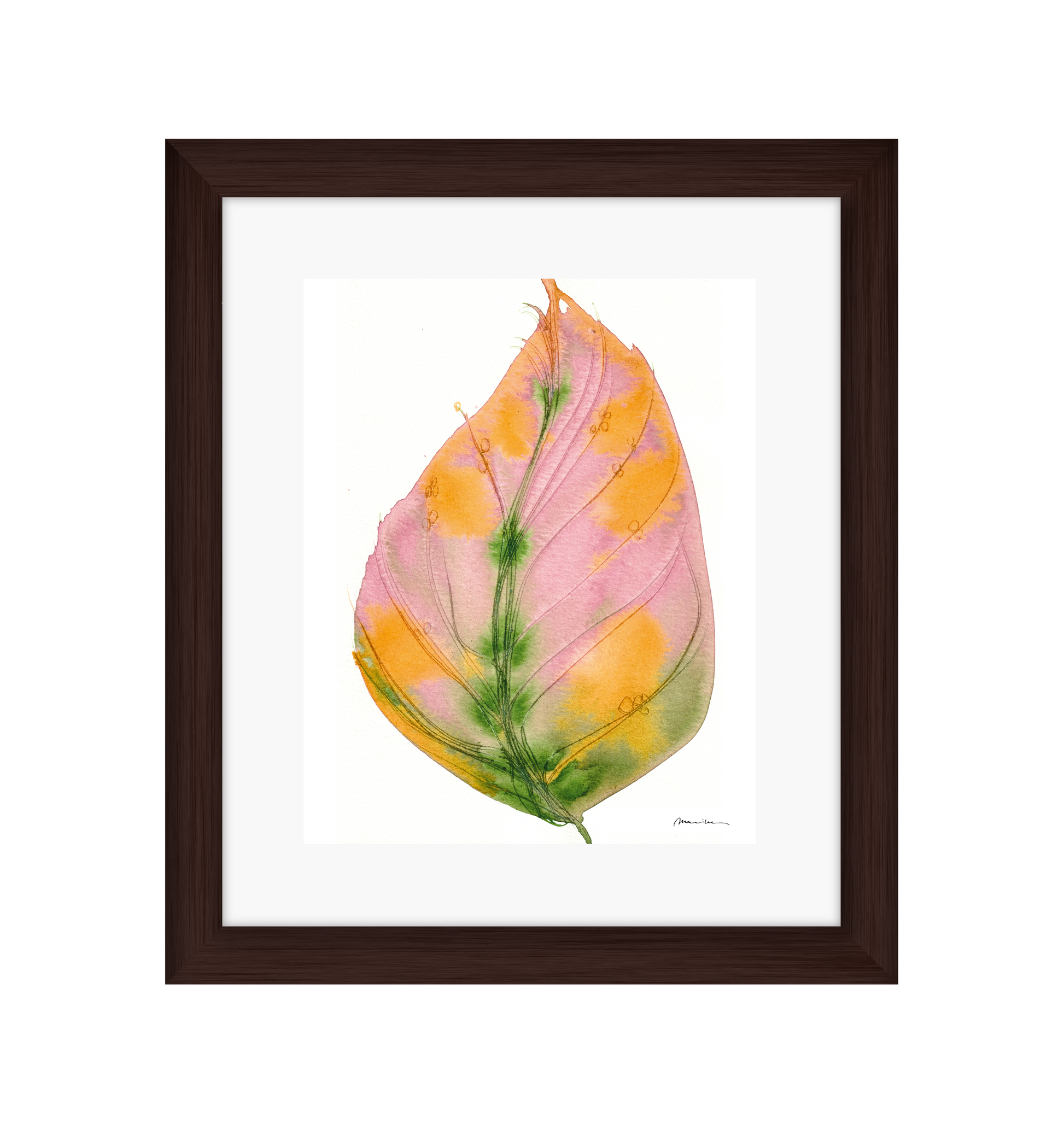 Framed artwork of a colorful leaf on a white background