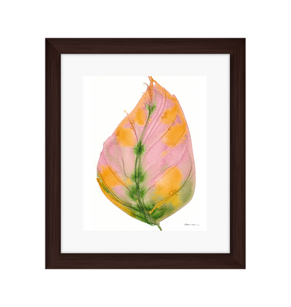 Framed artwork of a colorful leaf on a white background