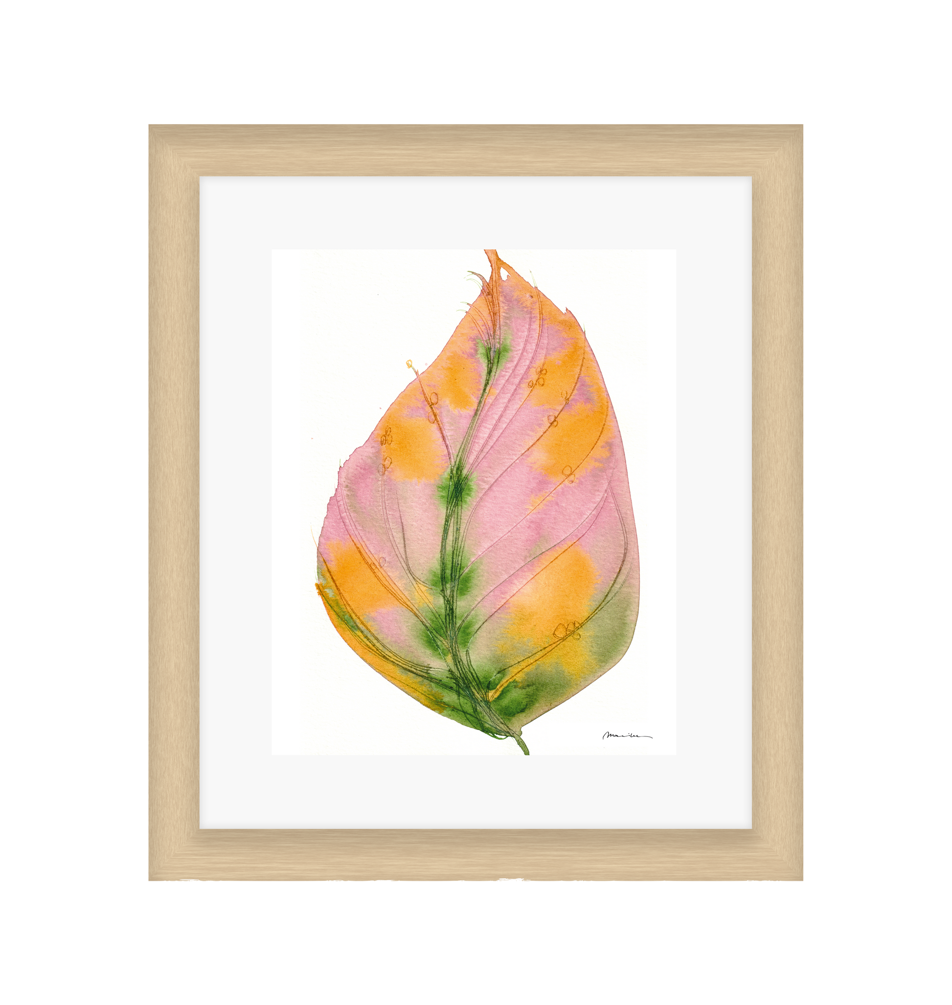 Framed artwork of a pink and orange leaf with green veins on a white background