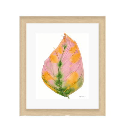 Framed artwork of a pink and orange leaf with green veins on a white background