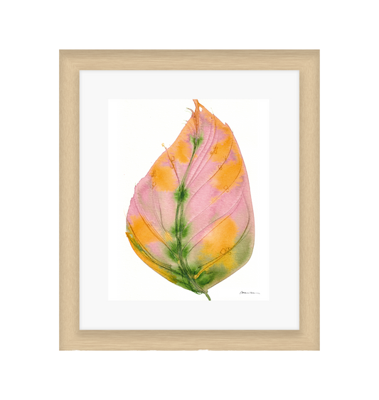 Framed artwork of a pink and orange leaf with green veins on a white background