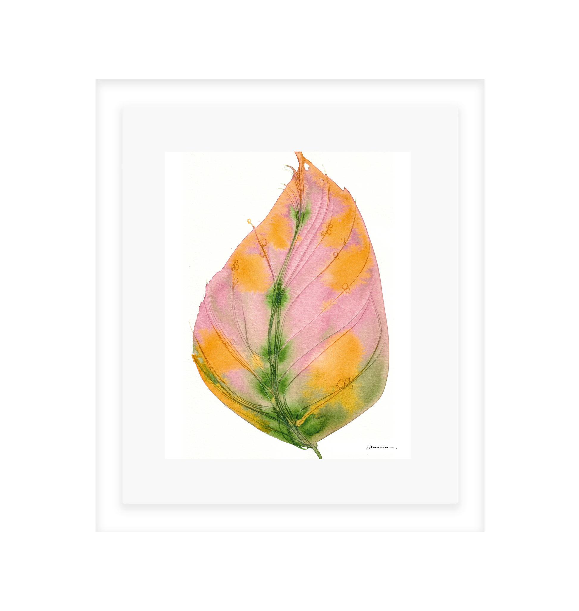 Framed artwork of a pink and yellow leaf with green veins on a white background