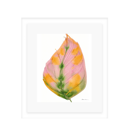 Framed artwork of a pink and yellow leaf with green veins on a white background