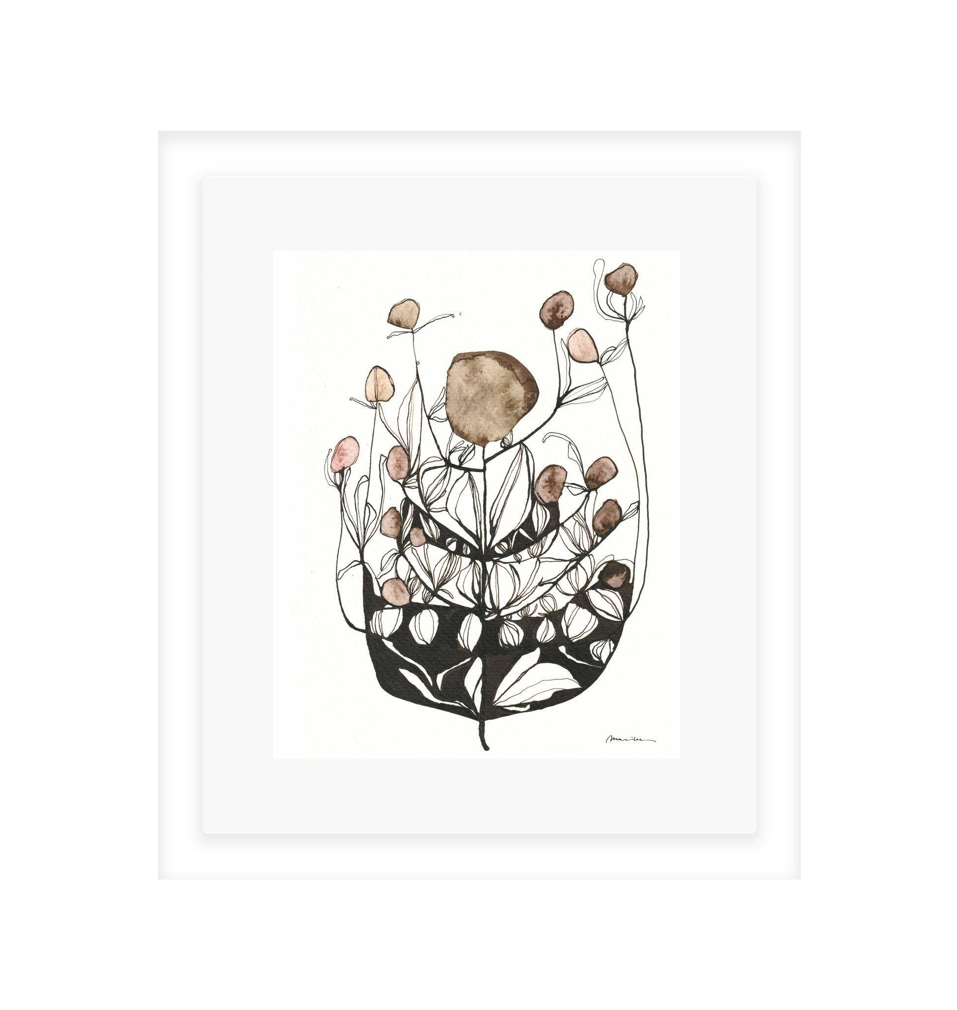 Artistic illustration of a plant with brown and pink floral elements on a white background in a white frame