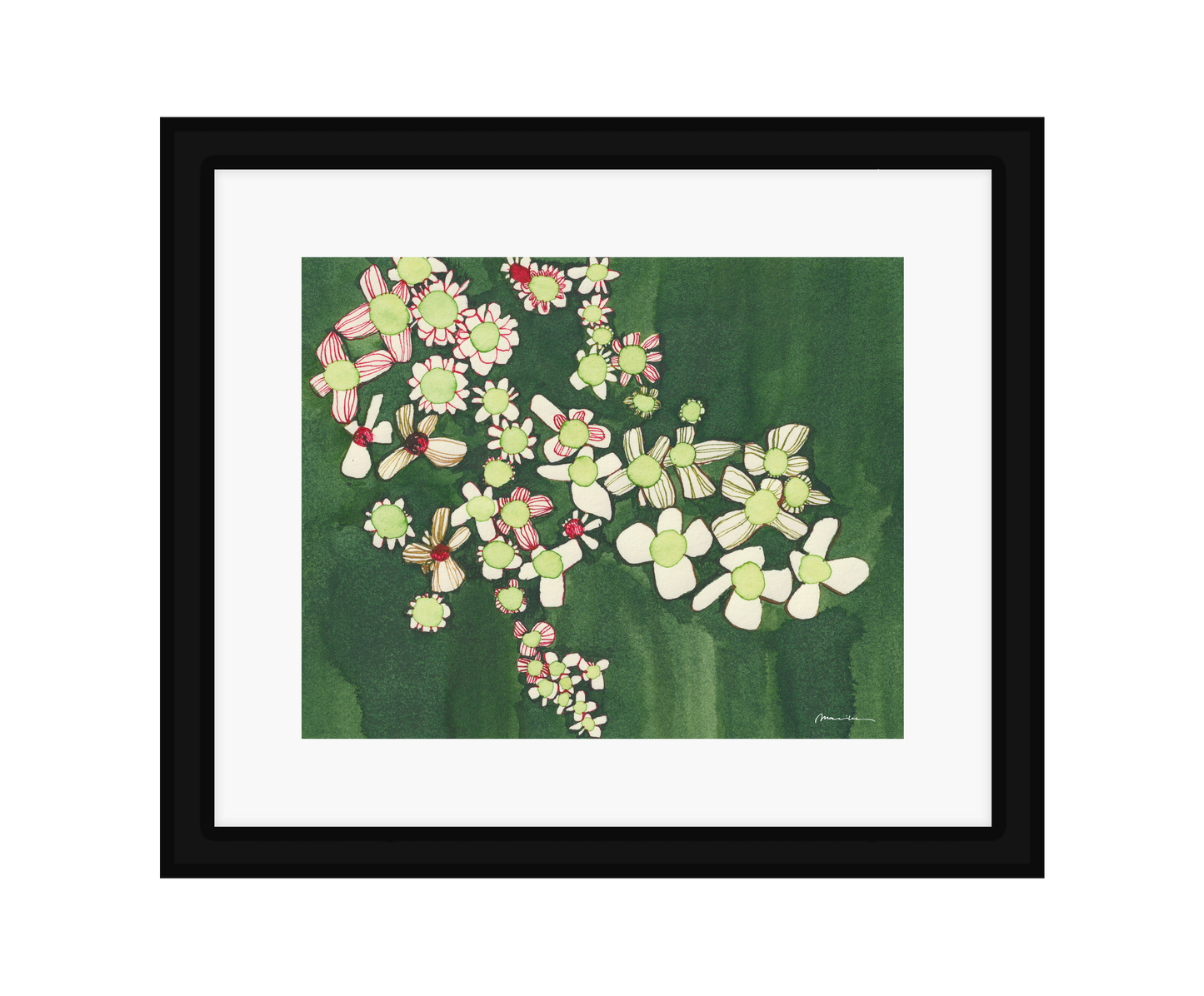 Madeliefjes in Groen