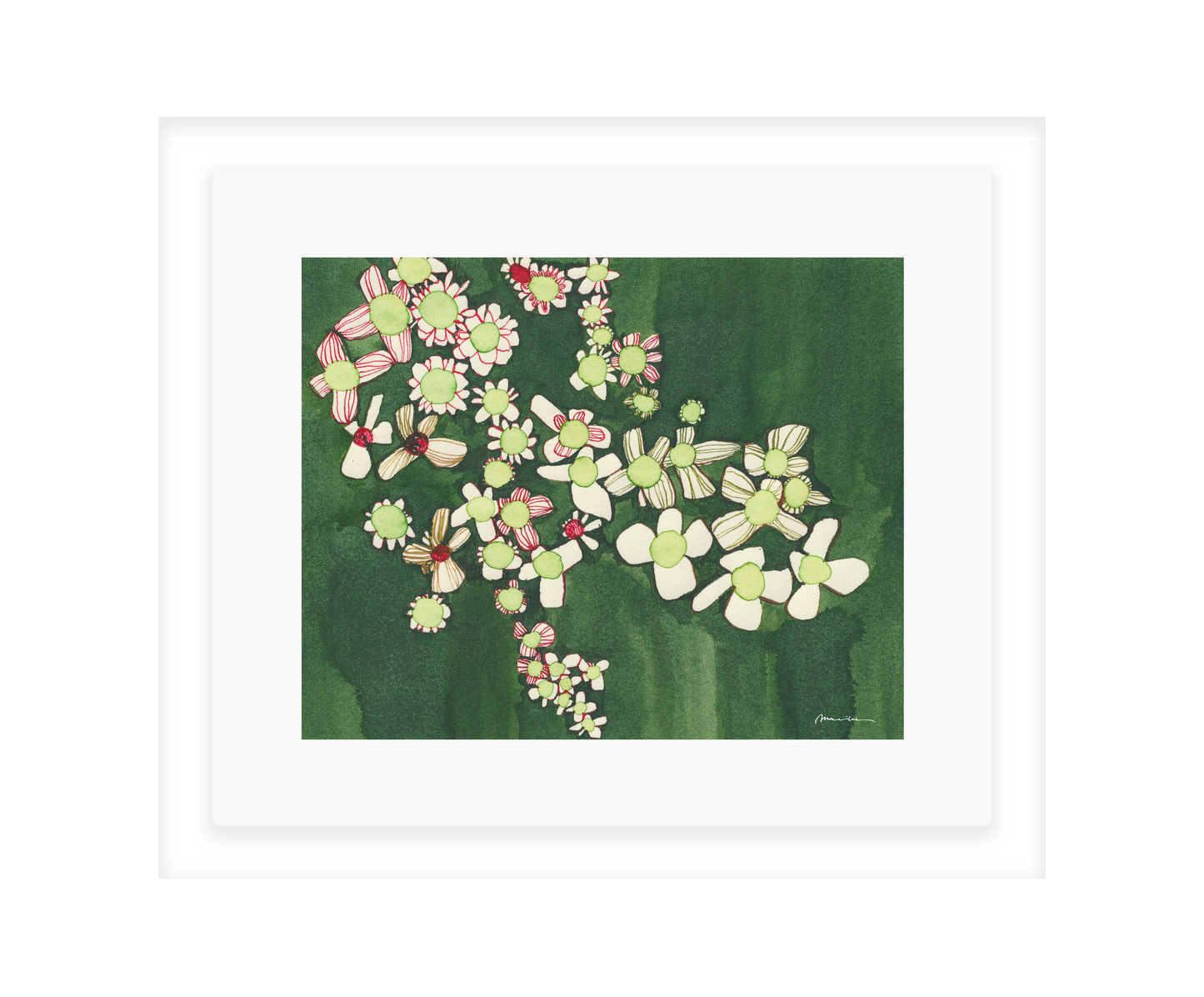 Madeliefjes in Groen