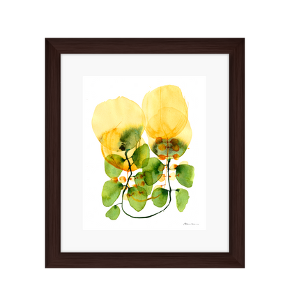 Tulips on a Vine