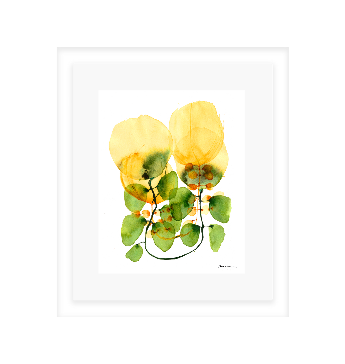 Tulips on a Vine