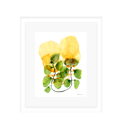 Tulips on a Vine