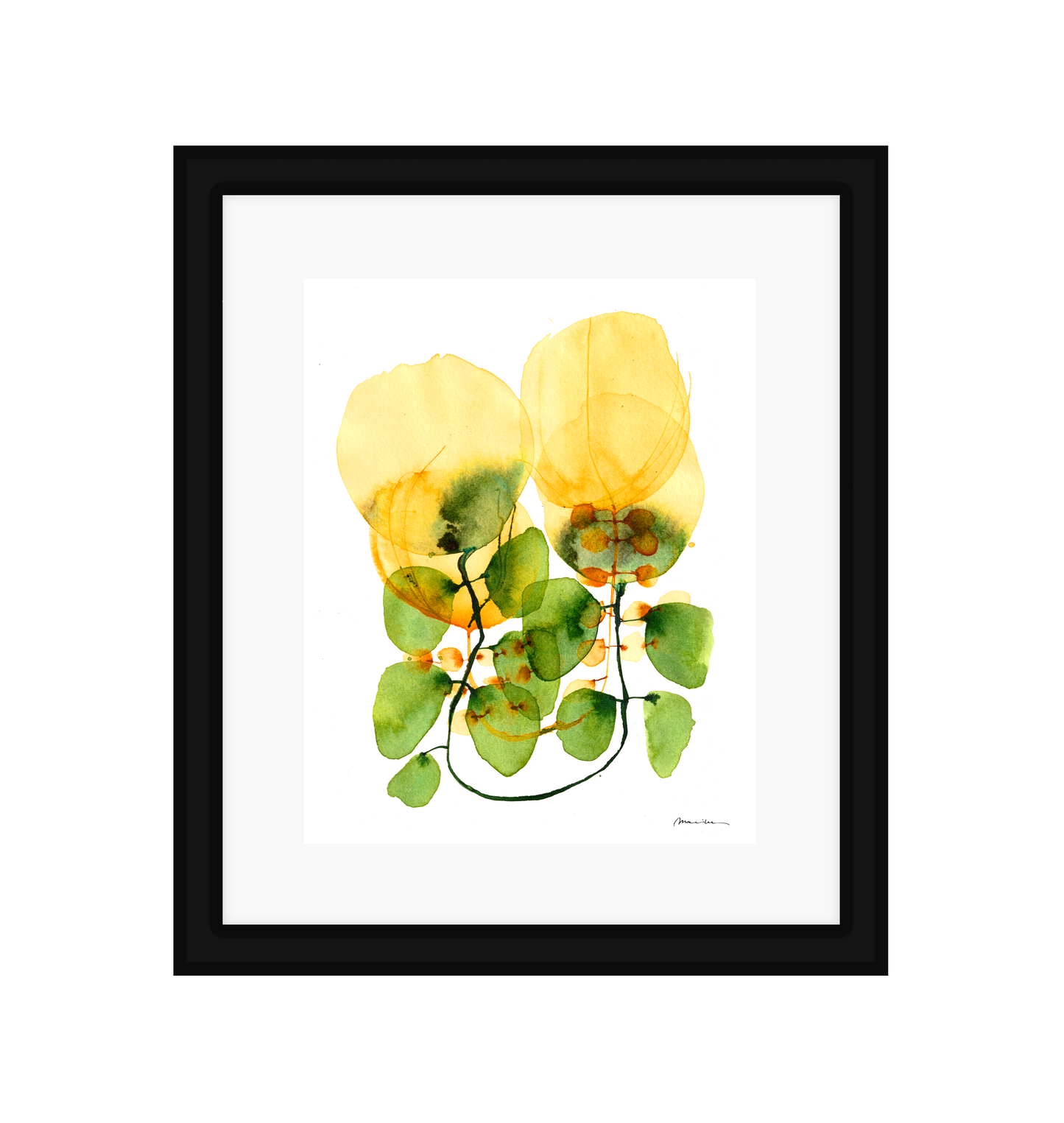 Tulips on a Vine