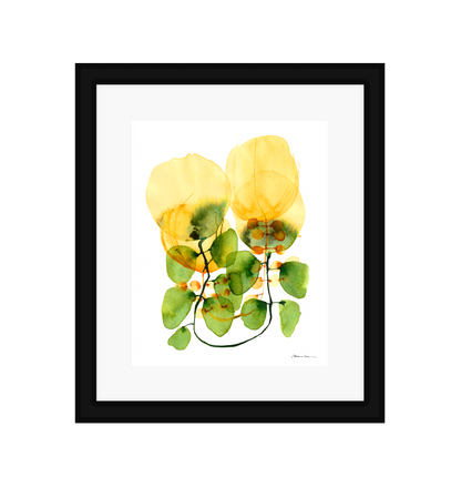 Tulips on a Vine