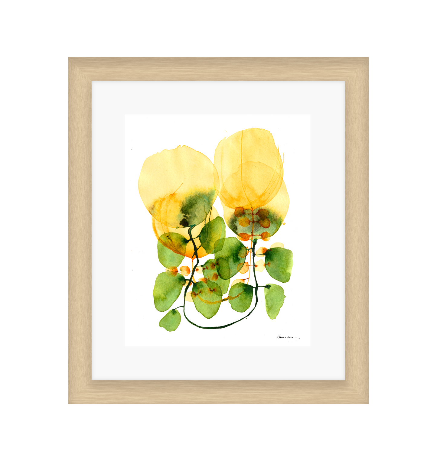 Tulips on a Vine