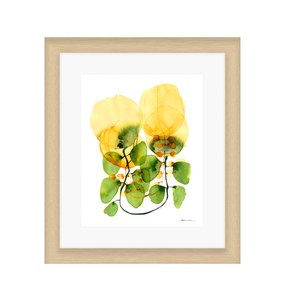 Tulips on a Vine